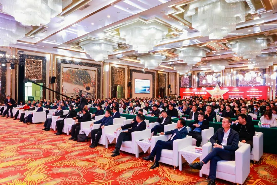 荣耀时刻｜鹰牌陶瓷荣获2024中国陶瓷品牌大会“年度领军品牌”奖项！(图2)